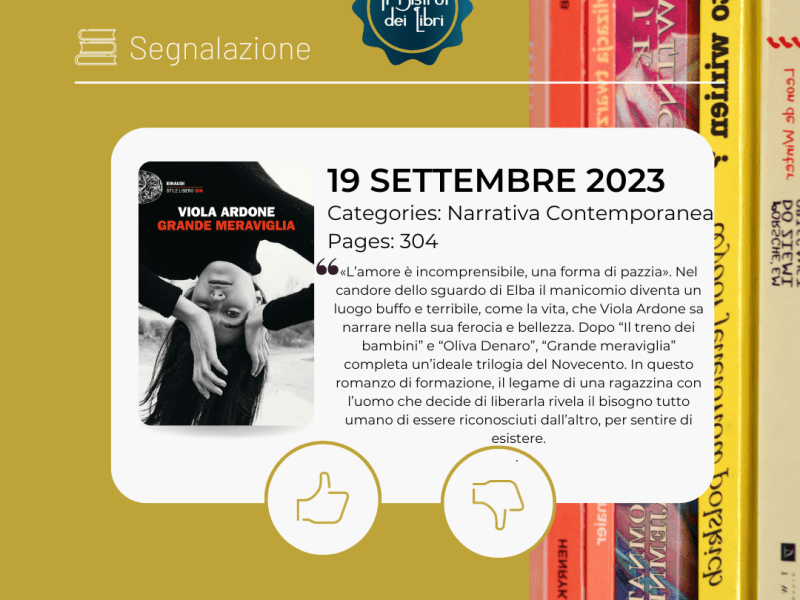 Grande meraviglia, Viola Ardone –&nbsp;segnalazione