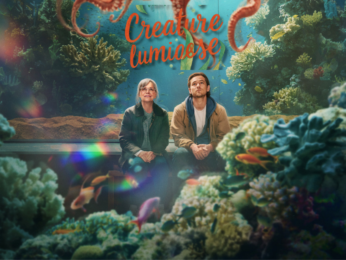 Creature luminose: adattamento del aestseller di Shelby Van&nbsp;Pelt